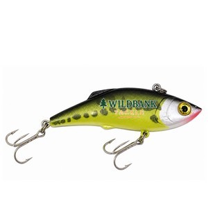 Fishing Lure