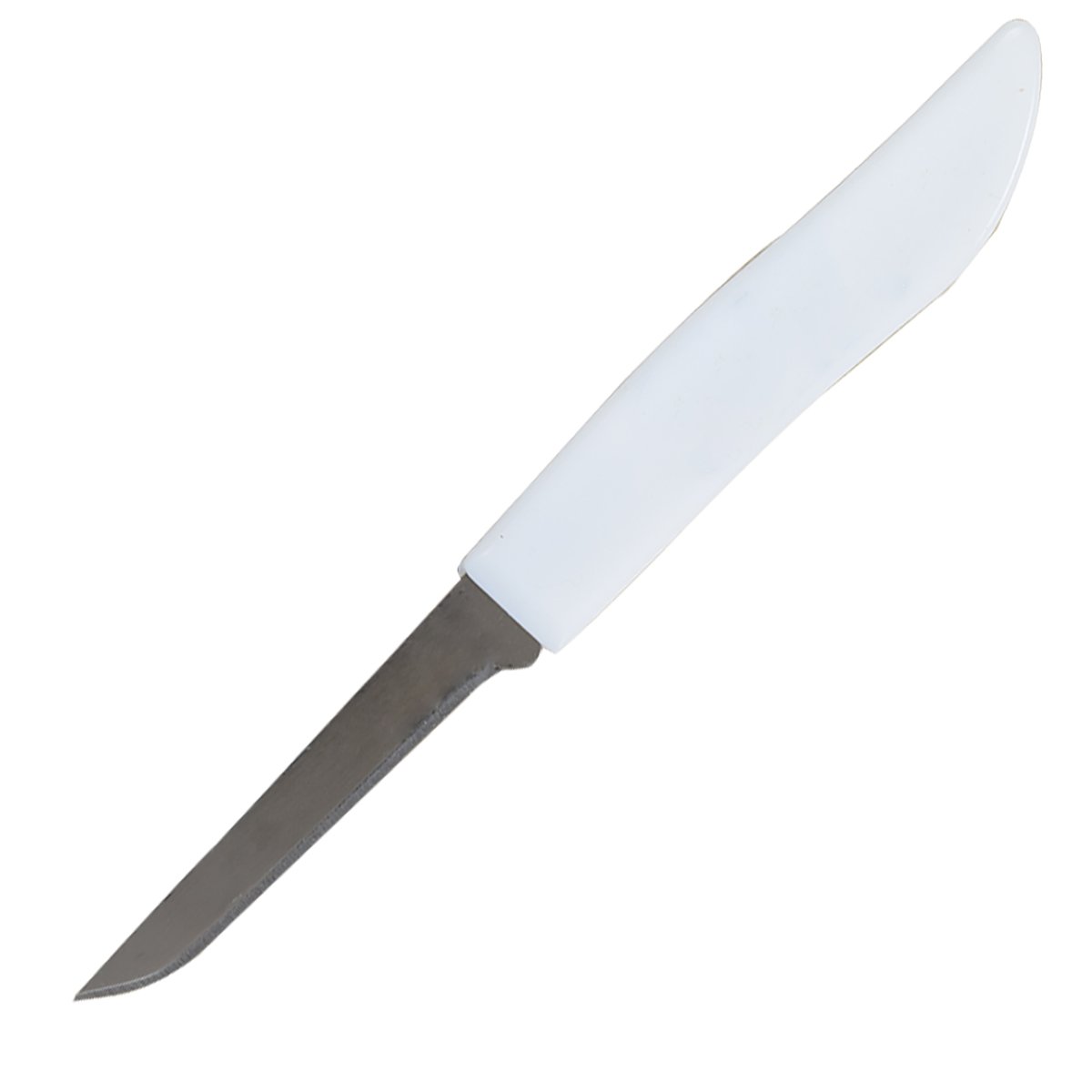 Stainless Steel Paring Knife White 2.5'' Blade