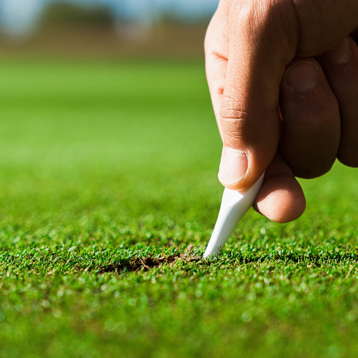 Caddy Splash Divot Tee