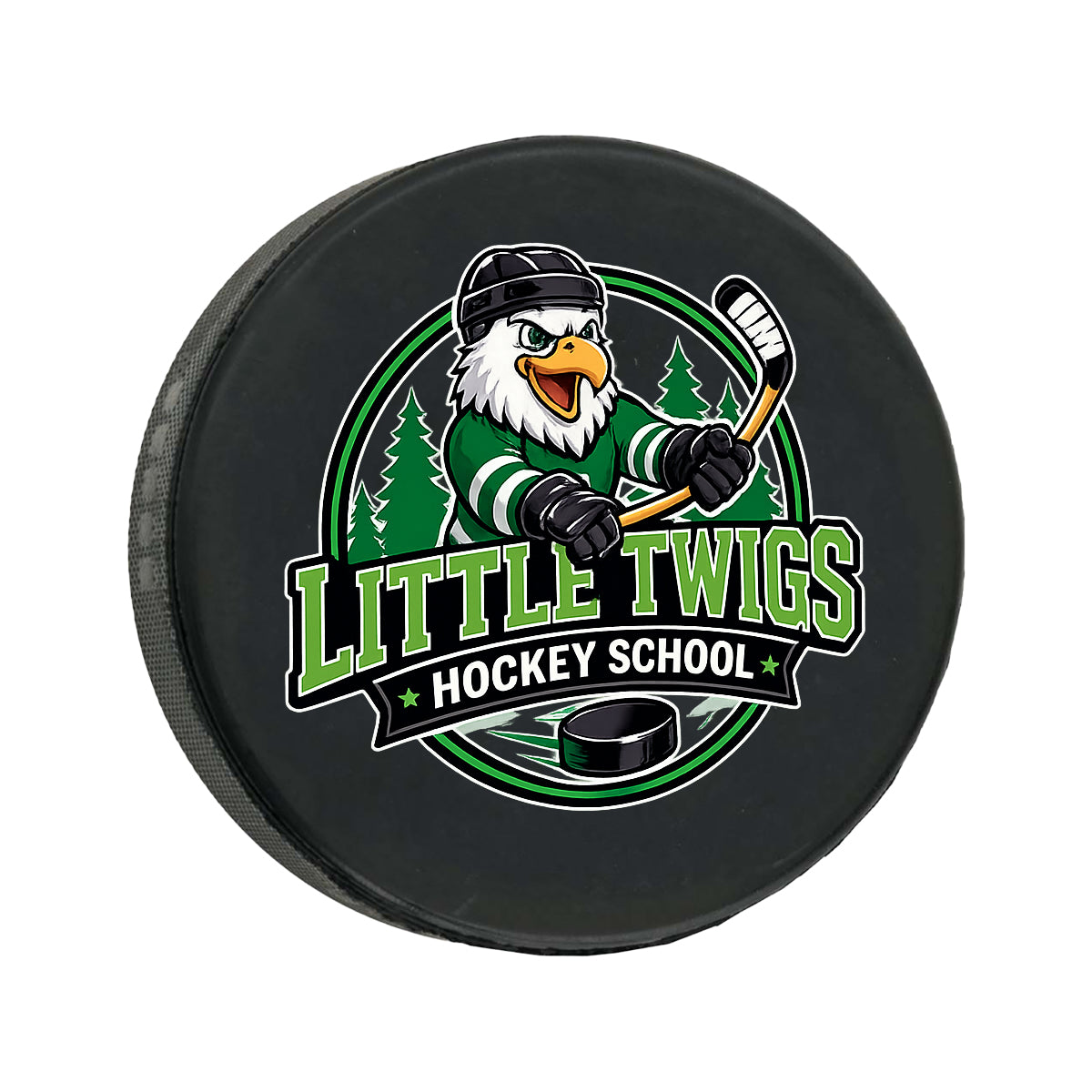 Hockey Puck Official Size