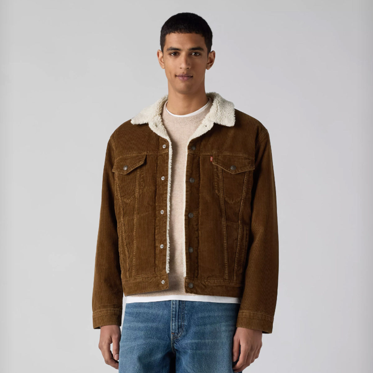 Levi's Men's Type 3 Sherpa Trucker