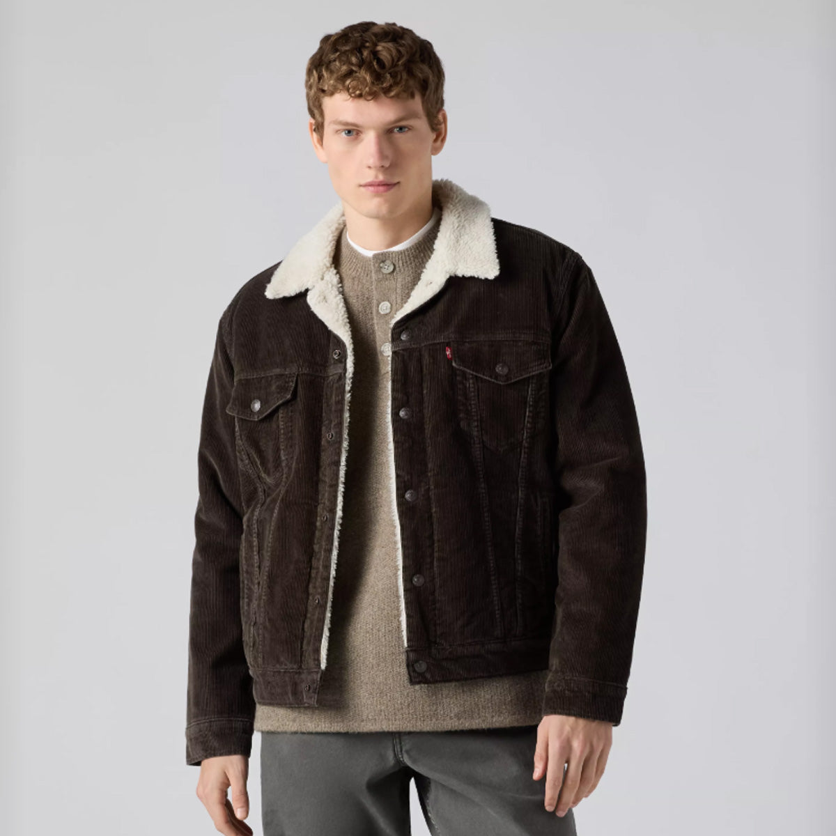 Levi's Men's Type 3 Sherpa Trucker
