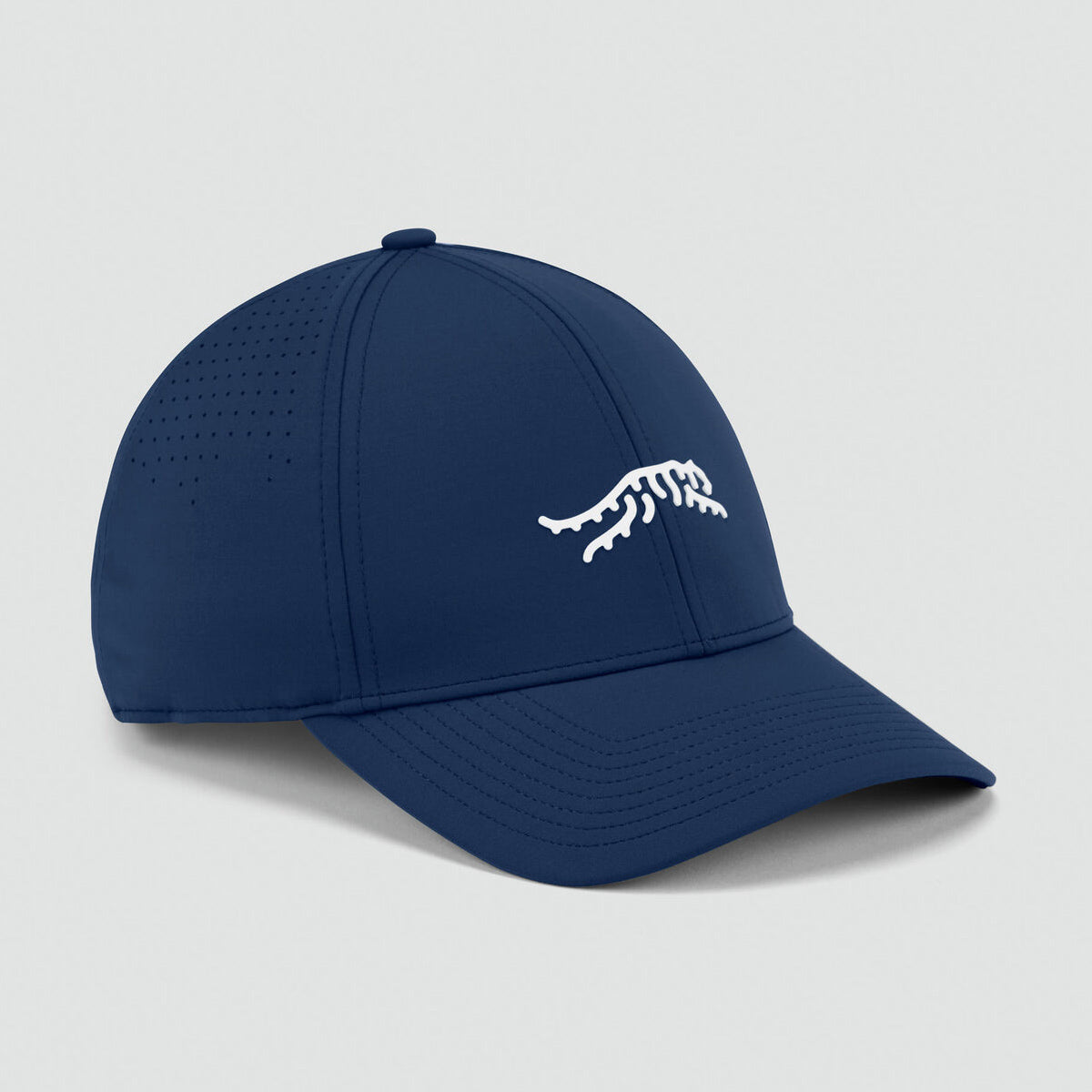 Sun Day Red Cypress Tour Snapback