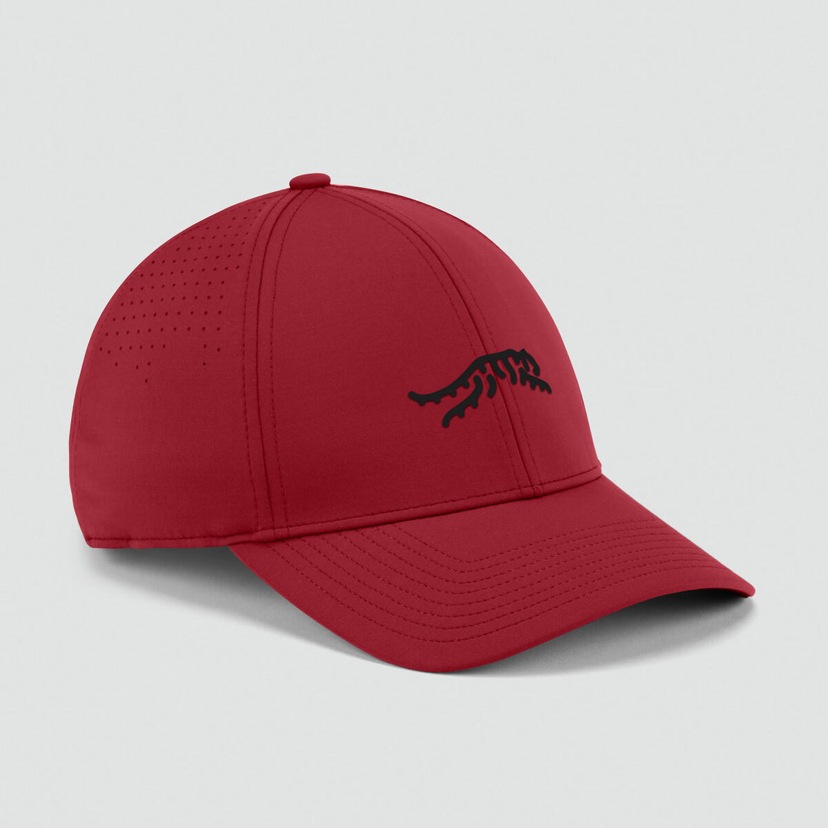 Sun Day Red Cypress Tour Snapback