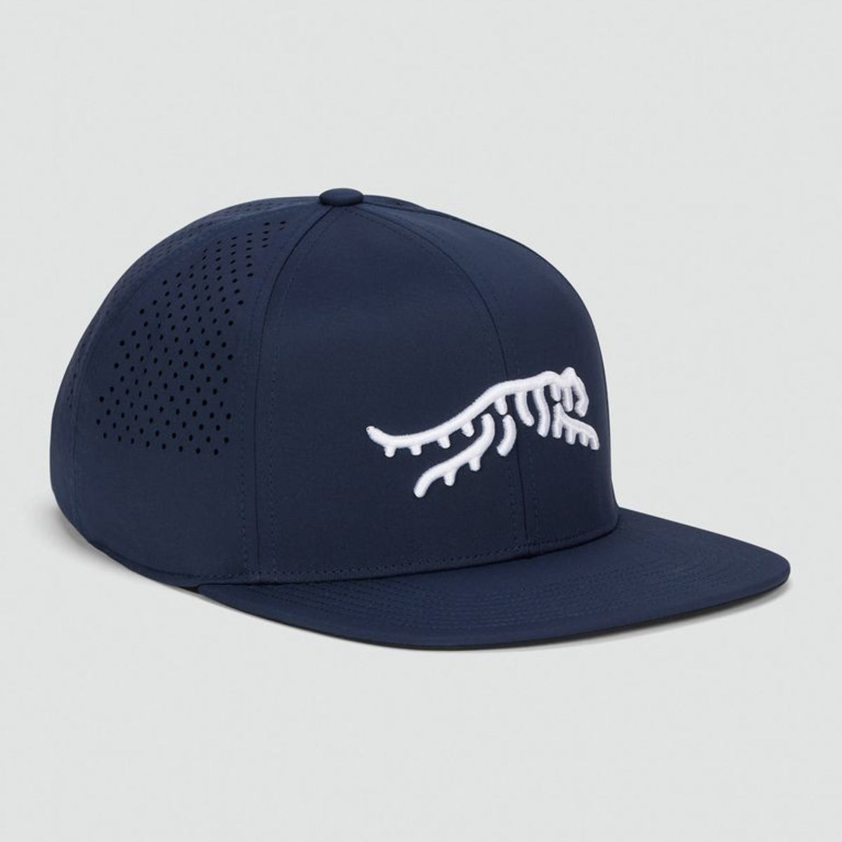 Sun Day Red Icon Perf Flatbill Hat II