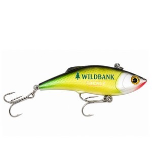 Fishing Lure