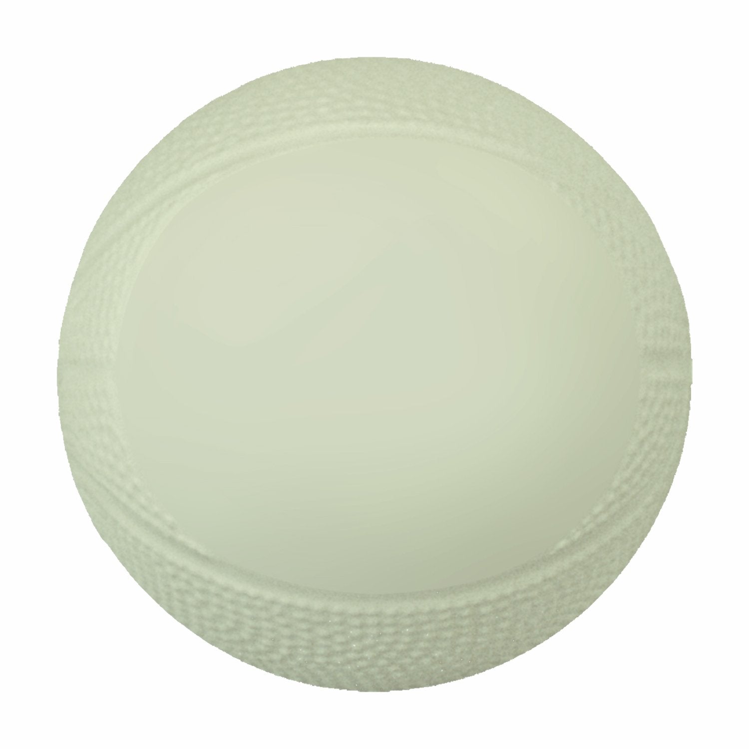 Mini Vinyl Basketball