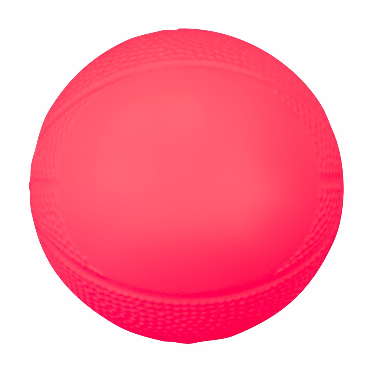 Mini Vinyl Basketball
