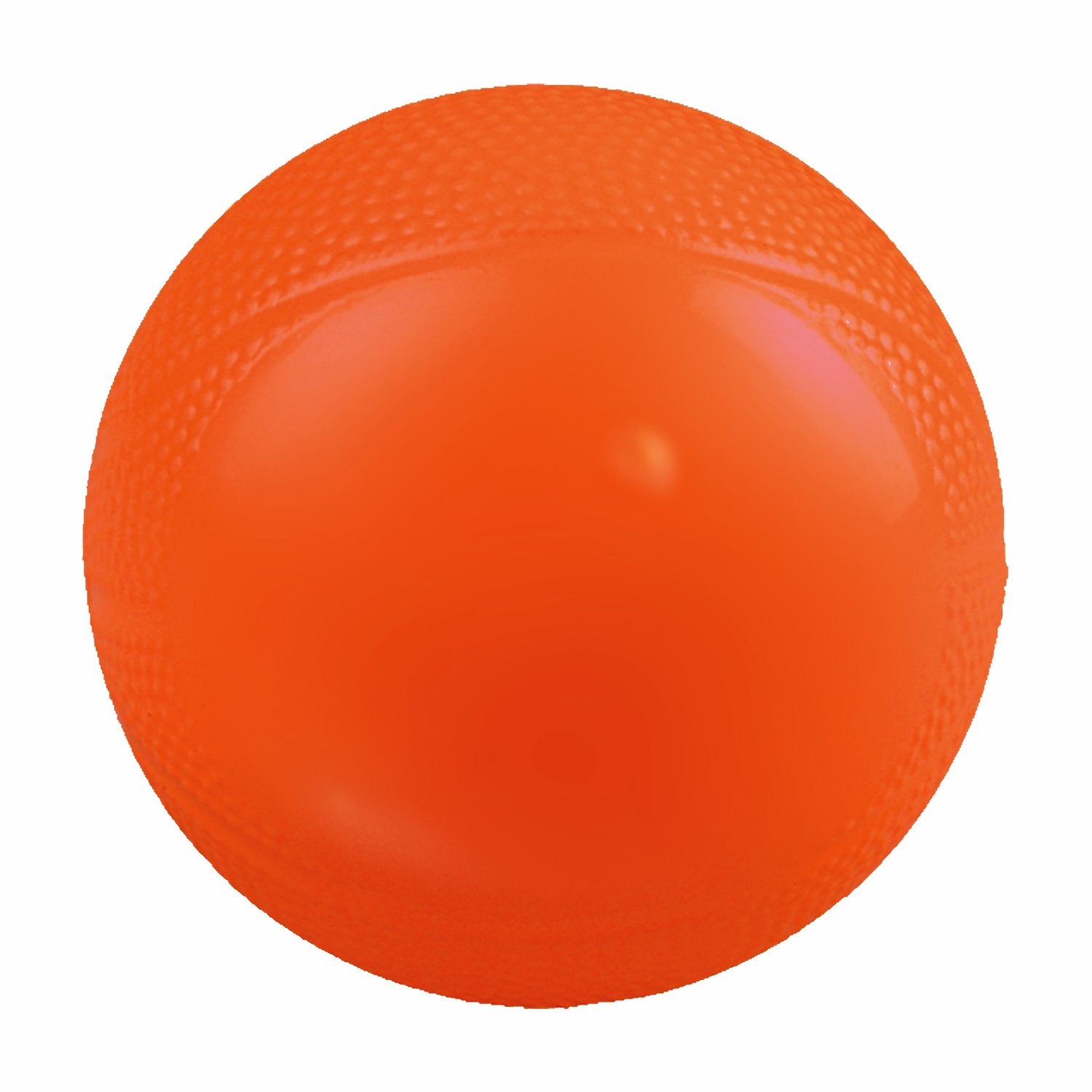 Mini Vinyl Basketball