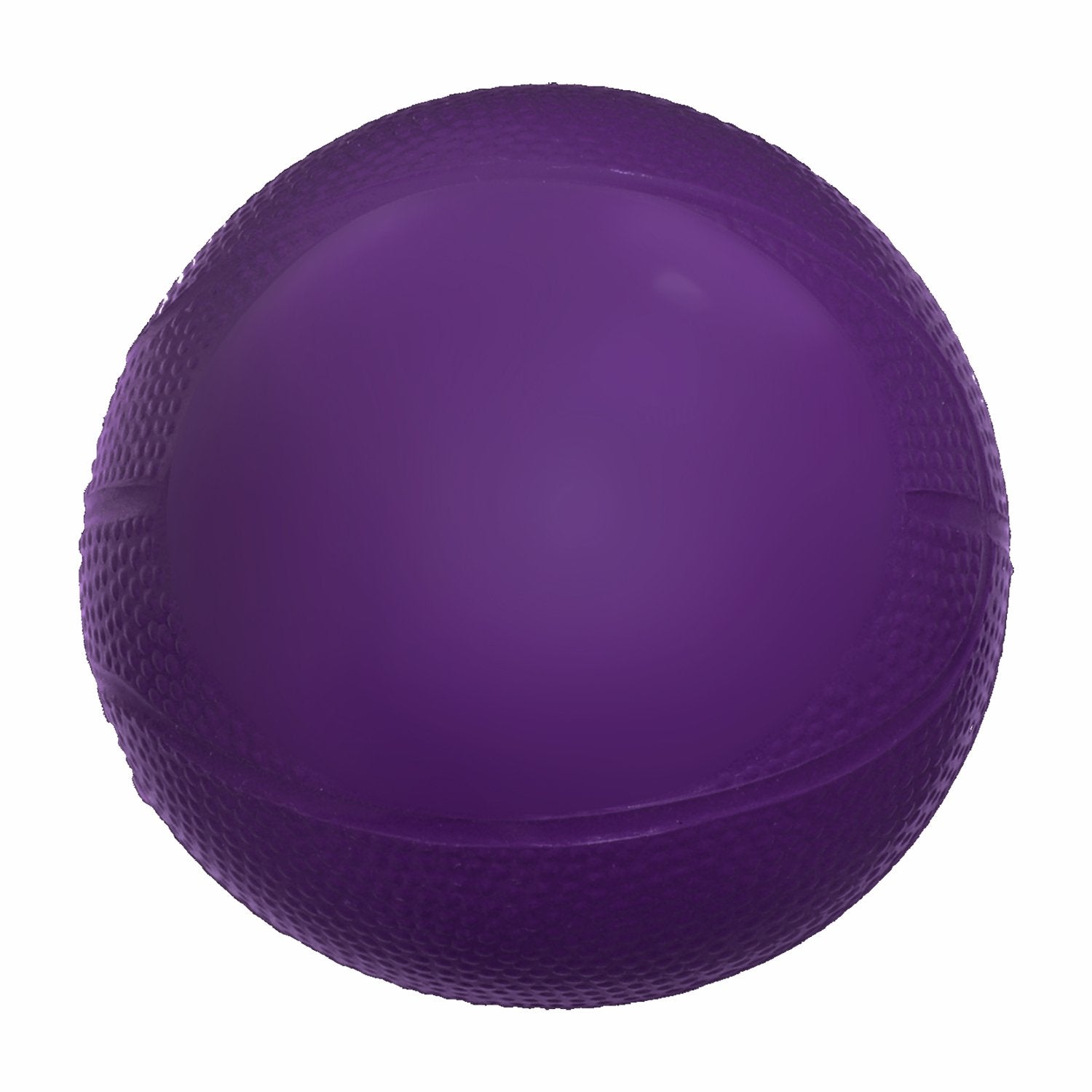 Mini Vinyl Basketball