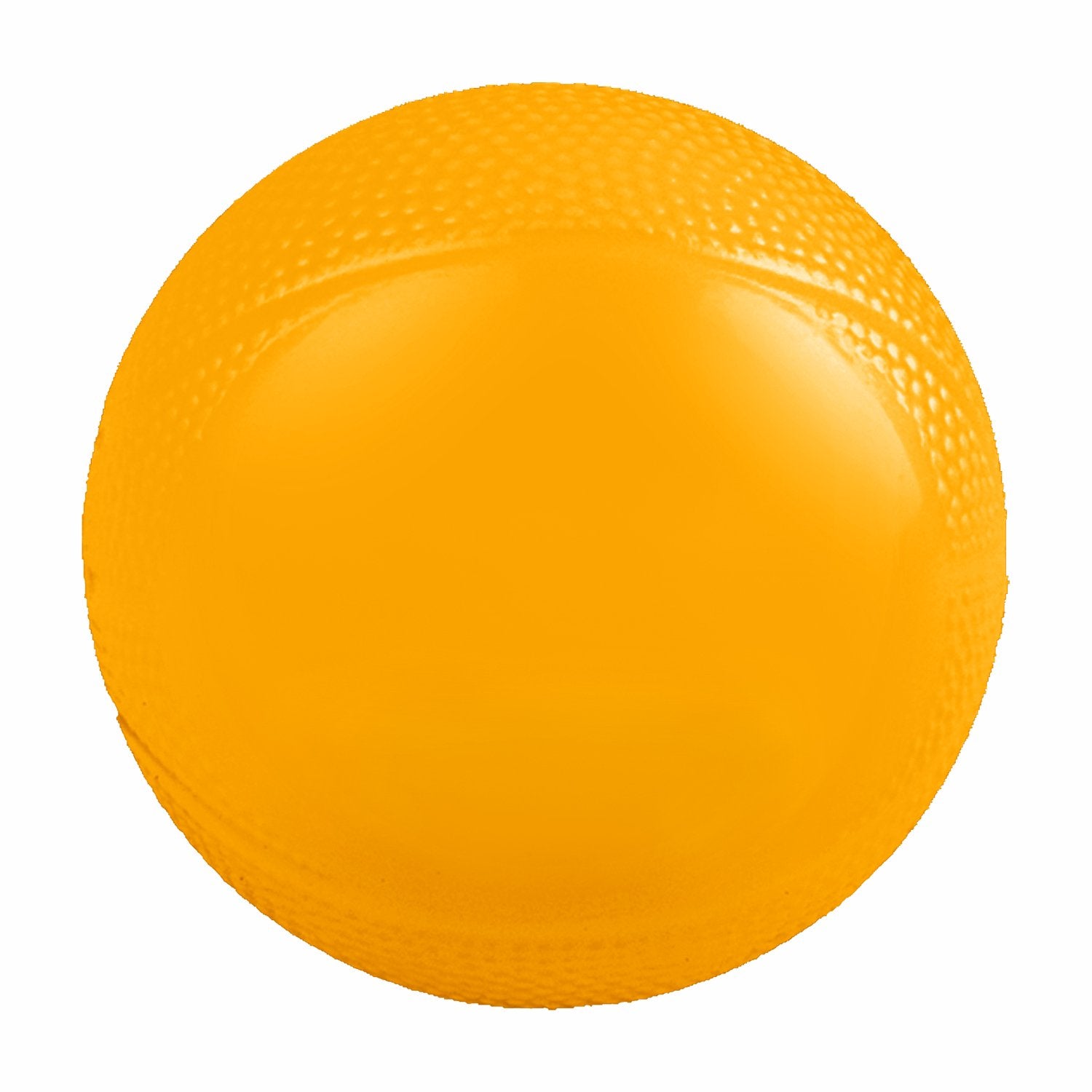 Mini Vinyl Basketball